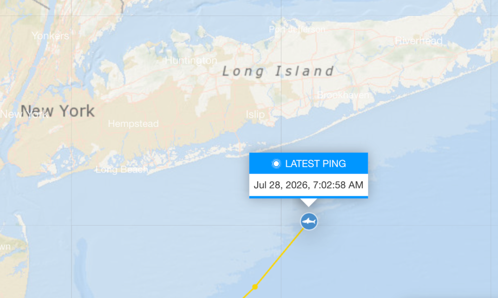 Percy pinged just off the coast of Long Island, about 14 miles from Ocean Beach, New York.