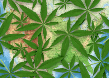 Rethinking the haphazard marijuana social experiment