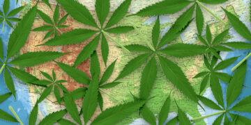 Rethinking the haphazard marijuana social experiment