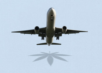 5 questions about flying with marijuana, answered