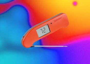 The Best Kitchen Gadget to Prevent Salmonella Is a Good Meat Probe