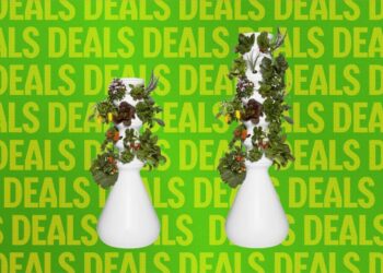 The Best Way to Avoid Diarrhea Lettuce? This Indoor Garden