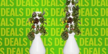 The Best Way to Avoid Diarrhea Lettuce? This Indoor Garden
