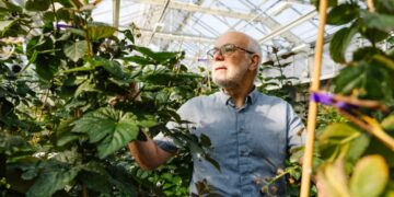 Seedless Blackberries and Cherries That Grow on Bushes Vie to Be the Future of Food