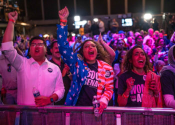 Michigan Senate primary shows Democratic establishment has lost its grip