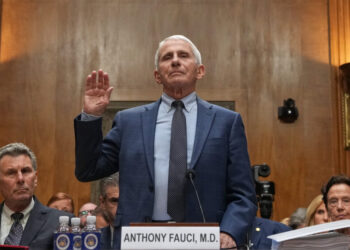 Why there’s so much heat on Anthony Fauci right now