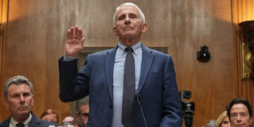 Why there’s so much heat on Anthony Fauci right now