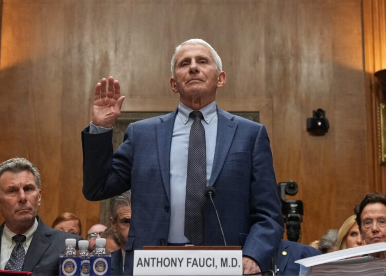 Why there’s so much heat on Anthony Fauci right now