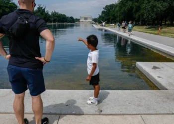 Reflecting Pool fiasco sees ‘bizarre turn’ as Trump DOJ eyes ‘shocking’ move: report