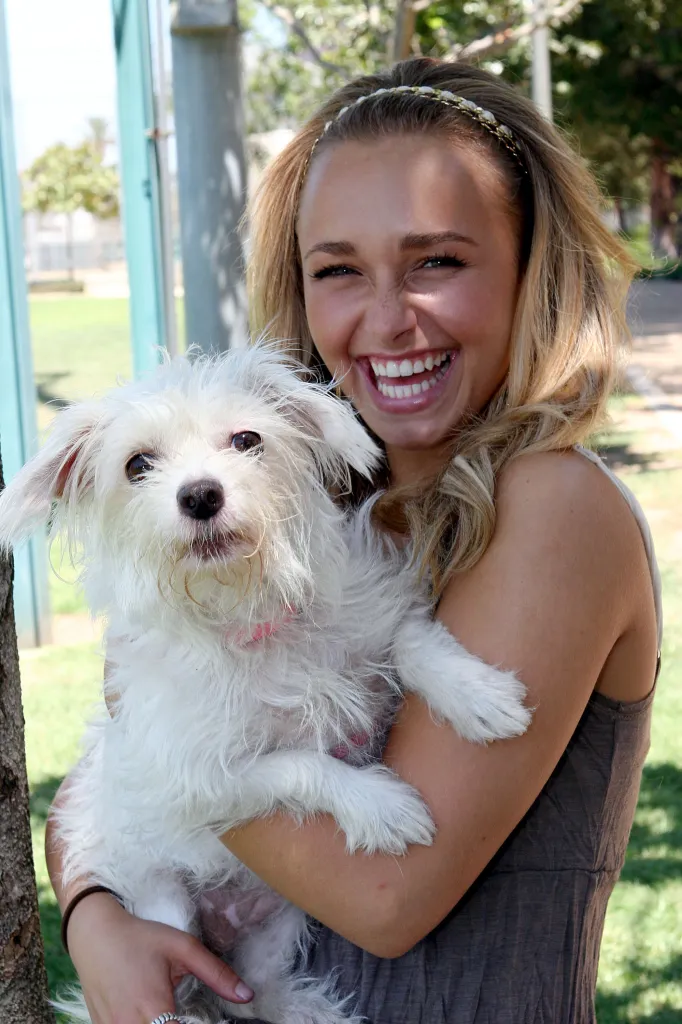 Hayden Panettiere laughing while holding her white dog.