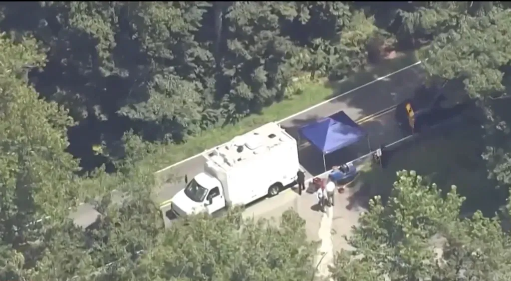 Puch was found stabbed multiple times and drenched in gasoline in the parking lot of Difficult Run Park in Great Falls, about 15 miles outside Washington, DC, on Monday.