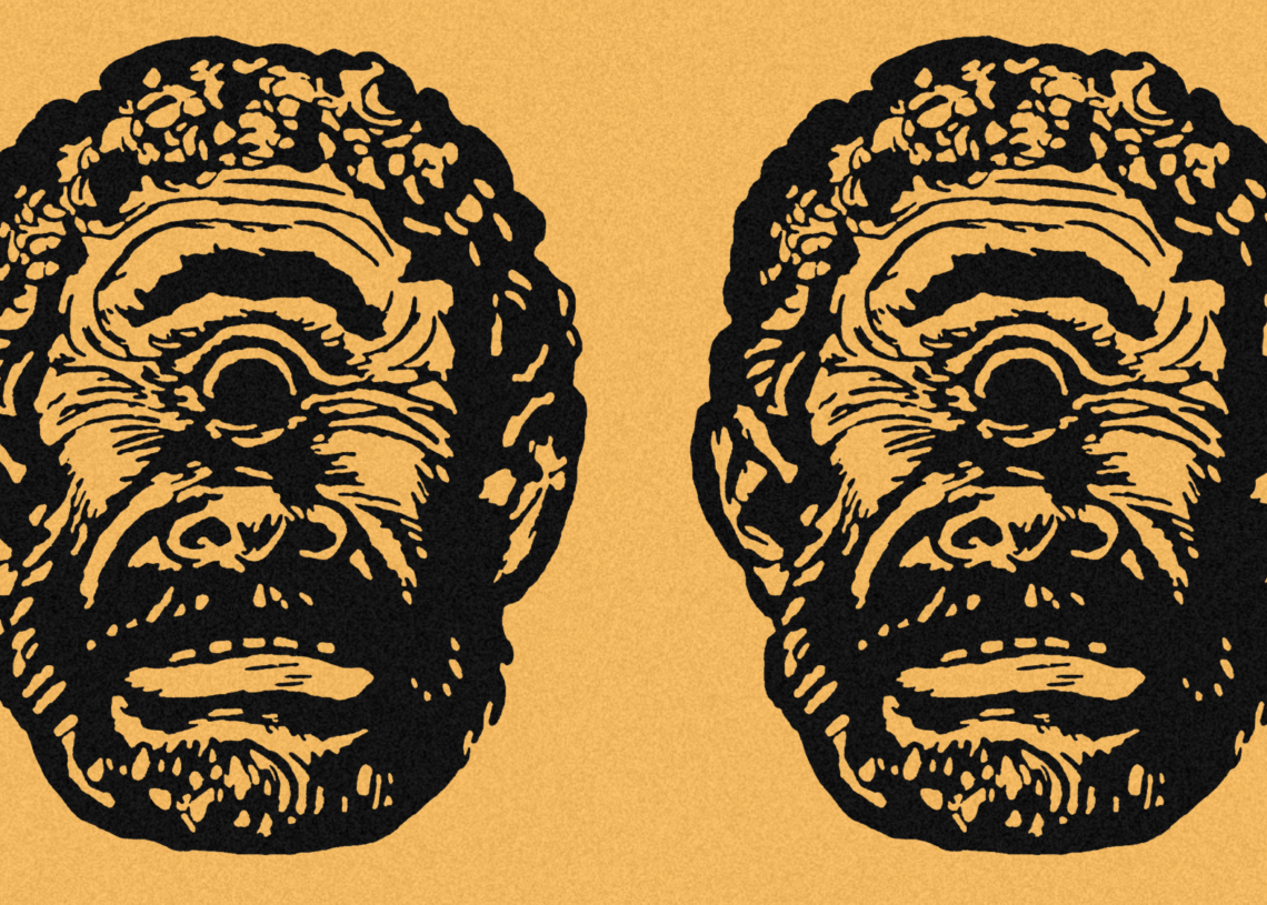 Scientists Just Traced the Human Eye Back to a Tiny One-Eyed Creature
