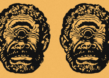 Scientists Just Traced the Human Eye Back to a Tiny One-Eyed Creature