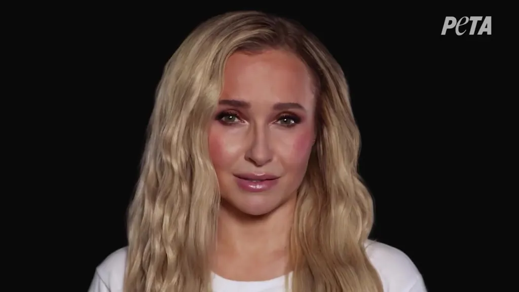 Hayden Panettiere in a PETA campaign for dolphins.