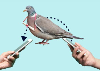 People Are So Sick of Technology They’re Paying to Go Back to Carrier Pigeons