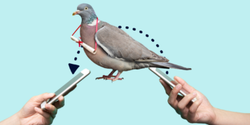 People Are So Sick of Technology They’re Paying to Go Back to Carrier Pigeons