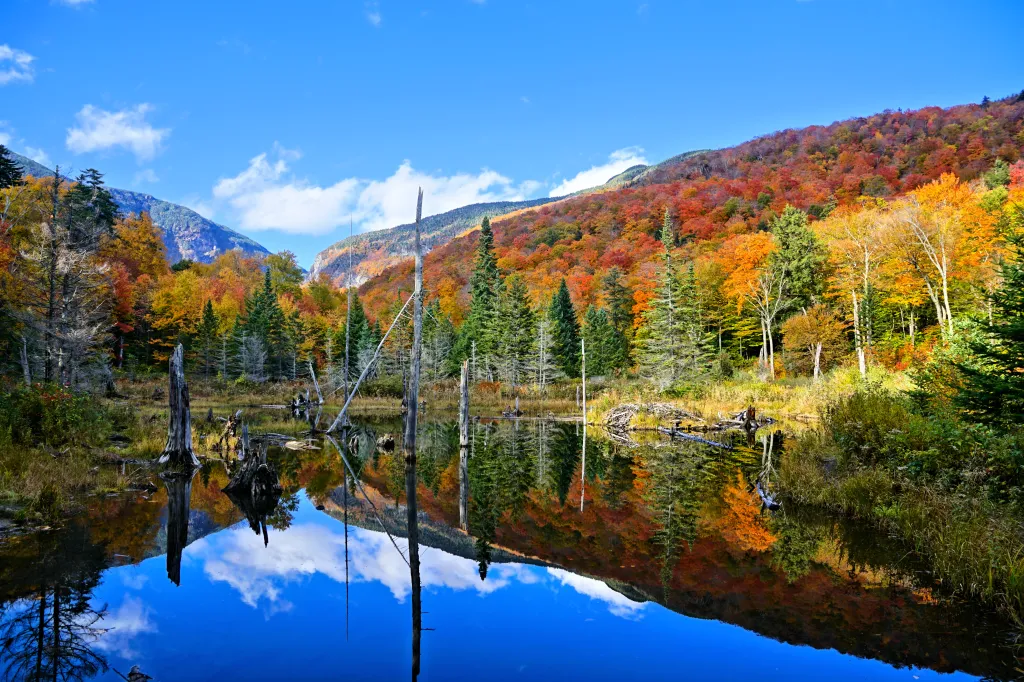 Fall colors are seen along a lake with reflections in the Green Mountains countryside of Vermont on Monday, Oct. 10, 2022.