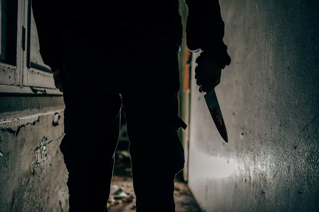 A silhouette of a person from behind, holding a blood-stained knife.