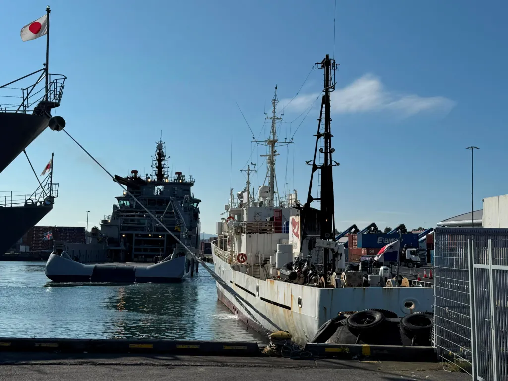 The Bandero vessel is docked next to an Icelandic Coast Guard ship in the harbor of Reykjavik, Iceland, on July 31, 2026