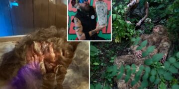 Cornell shuts down claims of ‘60% Neanderthal’ NY Bigfoot, setting off fuming Sasquatch hunter