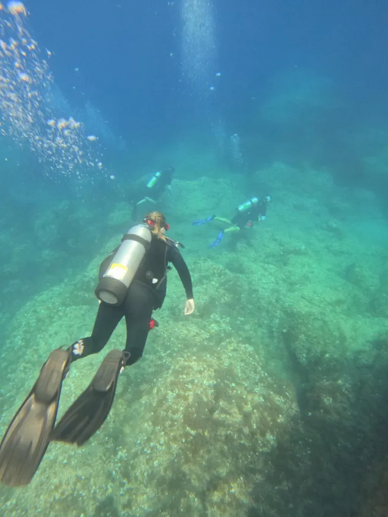 Three divers, wearing full black wetsuits and diving tanks, swim together in clear blue ocean water over a light green reef.