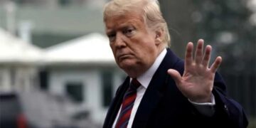 ‘Devastated’ scientists fear worldwide fallout as Trump guts 20-year Arctic research