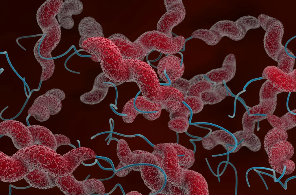 A bunch of pink bacteria swimming on a black background
