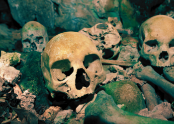 Archaeologists Thought These Cannibalistic Ancient Humans Ate Children. They Were Only Half Right.