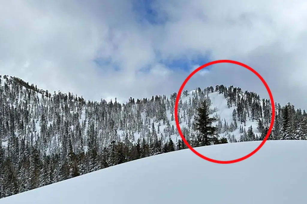 Castle Peak avalanche.