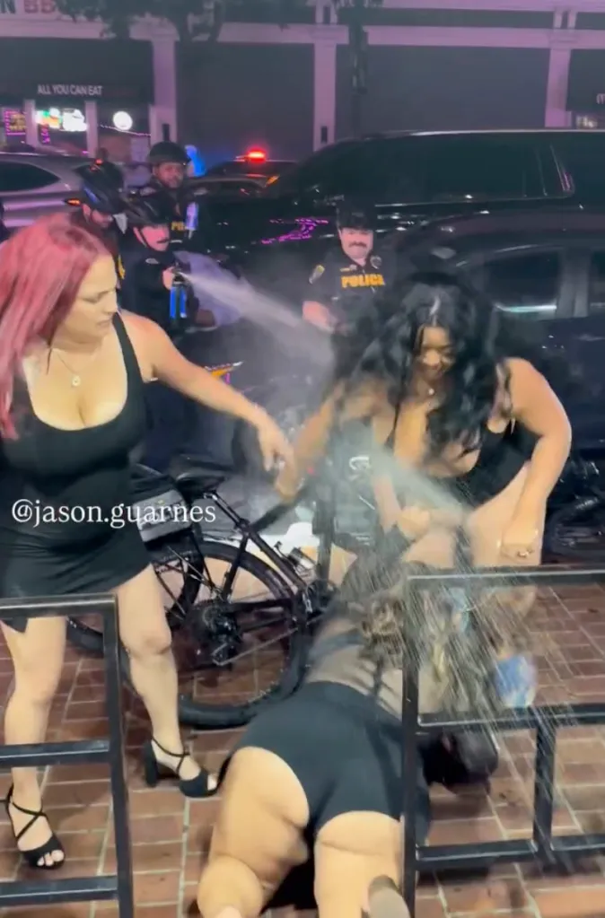 Police pepper spray women during a street brawl.