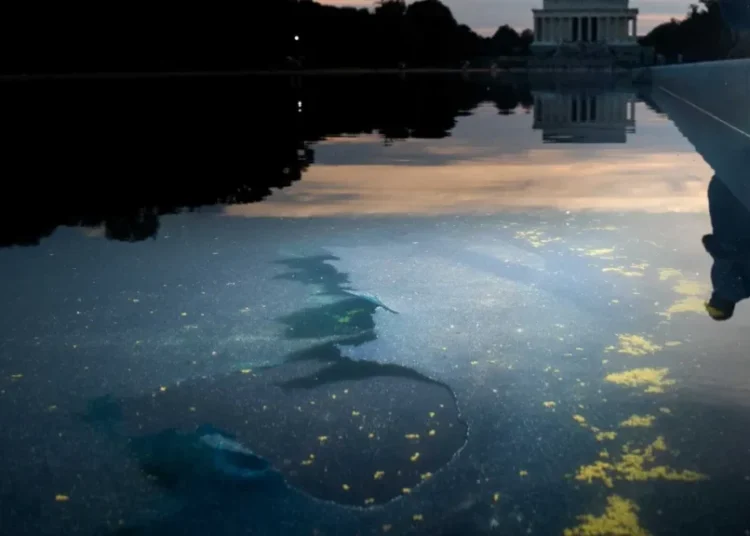 Reflecting Pool debacle threatens to take down two top Trump officials: analyst