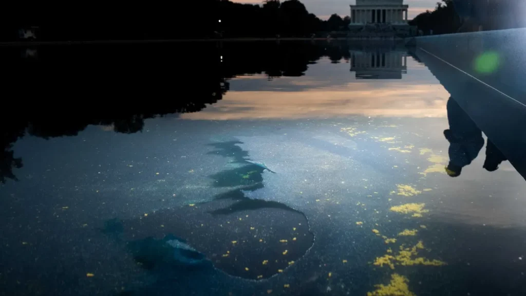 Reflecting Pool debacle threatens to take down two top Trump officials: analyst