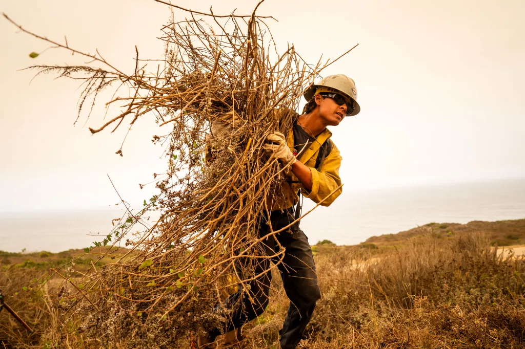 A Chula Vista firefighter clears brush from a hillside in Big Sur, California.