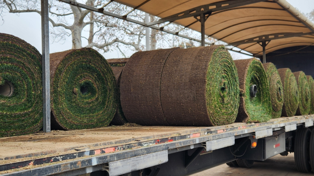 Rolls of sod on a flatbed truck.