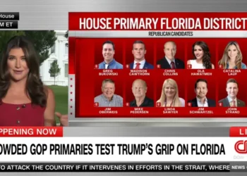 Primary in Trump’s backyard has become a ‘clown show of carpetbaggers’: CNN