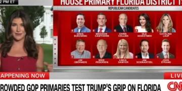 Primary in Trump’s backyard has become a ‘clown show of carpetbaggers’: CNN