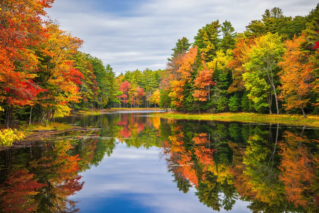 Colorful foliage tree reflections are seen in calm pond water on Sunday, Oct. 13, 2019, in New England.