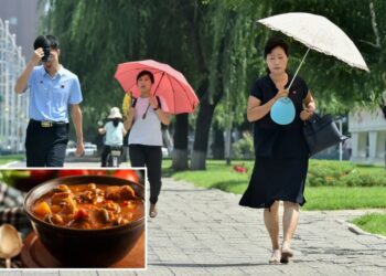 North Koreans encouraged to eat ‘nutritious’ dog-meat soup during sweltering summer heat