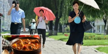 North Koreans encouraged to eat ‘nutritious’ dog-meat soup during sweltering summer heat