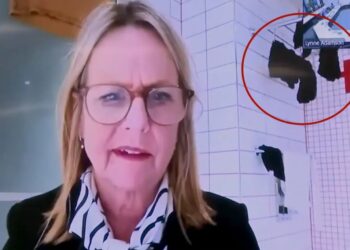 New Zealand politician caught joining city council meeting from bathroom with underwear drying