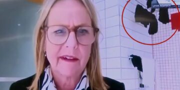 New Zealand politician caught joining city council meeting from bathroom with underwear drying