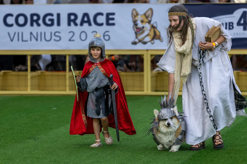 A child dressed as a knight, a woman in a white dress, and a corgi in silver armor at the Corgi Race in Vilnius, Lithuania.