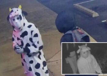 Burglar dressed in cow onesie steals vapes from Tennessee smoke shop