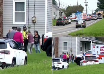 NJ driver veers into oncoming traffic, killing 2 motorcyclists after she ‘freaked out’ over bug: cops