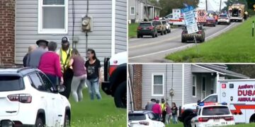 NJ driver veers into oncoming traffic, killing 2 motorcyclists after she ‘freaked out’ over bug: cops