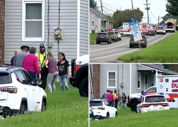 NJ driver veers into oncoming traffic, killing 2 motorcyclists after she ‘freaked out’ over bug: cops