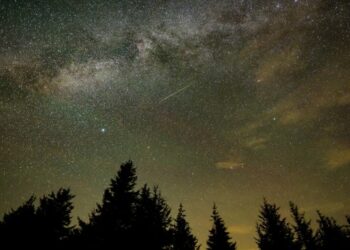 Meteor shower dubbed ‘the Perseids’ will follow a solar eclipse on August 12 — and will light up the sky from North Carolina to Alaska