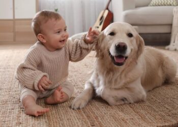 Want healthier kids? Get a dog, study suggests