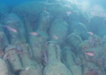 Roman shipwreck believed to be over 2,000 years old discovered in Sicily