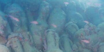 Roman shipwreck believed to be over 2,000 years old discovered in Sicily